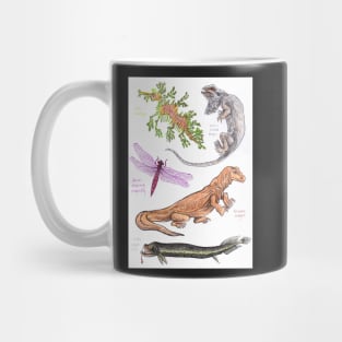 Real Life Dragons Mug